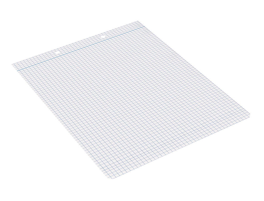 RECAMBIO LIDERPAPEL CUARTO APAISADO 100 HOJAS 60GR CUADRO 4 MM 2 TALADROS CON MARGEN