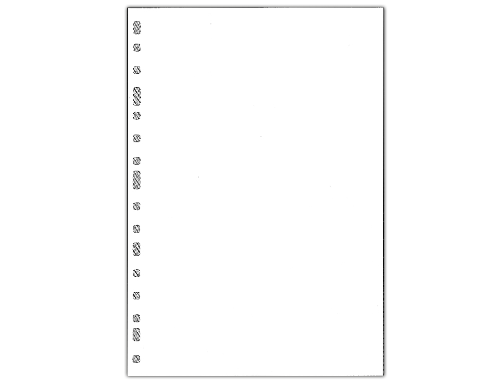RECAMBIO MULTIFIN 3005 FOLIO NATURAL LISO BLANCO