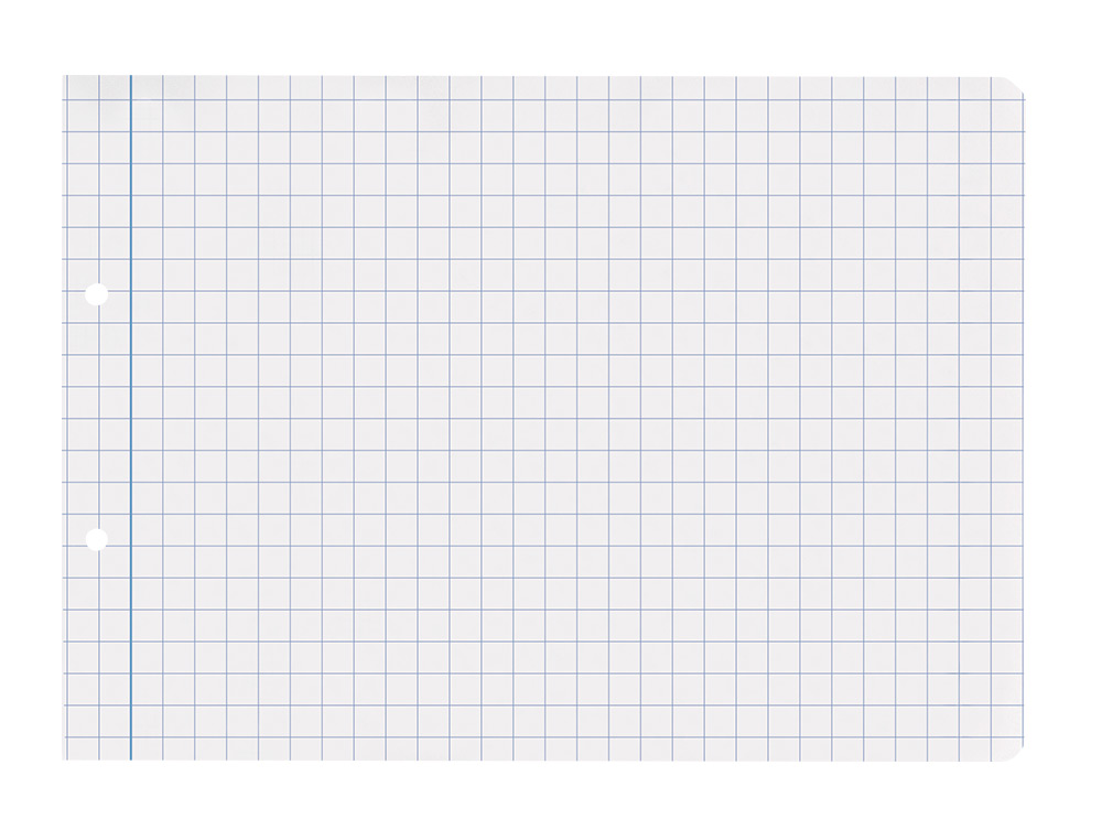 RECAMBIO LIDERPAPEL CUARTO APAISADO 100 H 2TCA-08 CUADRO 8 MM 2 TALADROS CON MARGEN