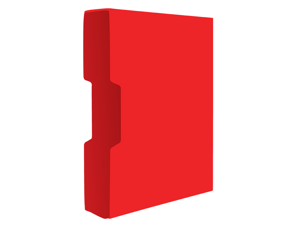 CARPETA LIDERPAPEL PERSONALIZA 100 FUNDAS POLIPROPILENODIN A4 ROJO TRANSLUCIDO CON CAJETIN