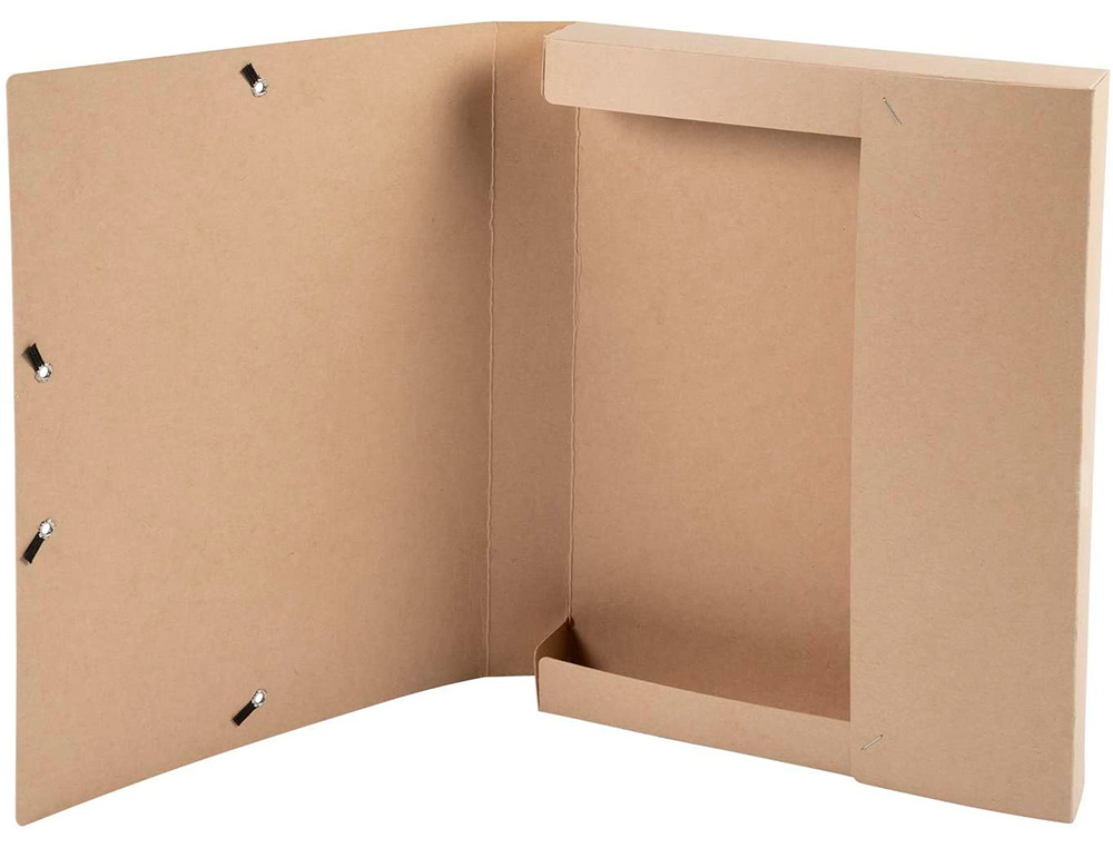 CARPETA DE PROYECTO EXACOMPTA ETERNECO CARTON ECOLOGICO DIN A4 LOMO 40 MM