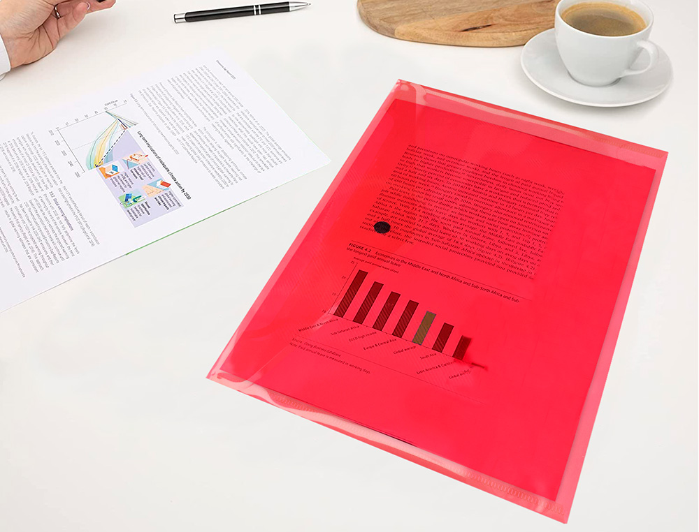 CARPETA LIDERPAPEL DOSSIER BROCHE TRANSPARENTE DIN A4 PAQUETE DE 12 UNIDADES COLORES SURTIDOS