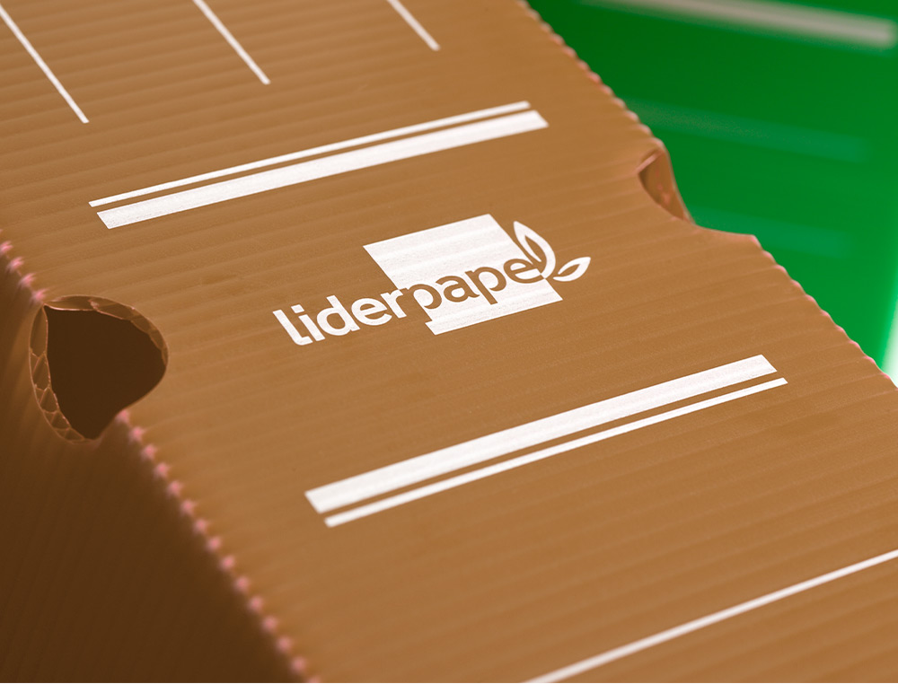 CAJA ARCHIVO DEFINITIVO PLASTICO LIDERPAPEL LOMO 100 MM MARRON 360X100X260 MM