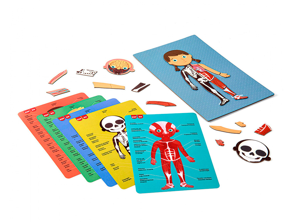 JUEGO APLI DIDACTICO MAGNETICO EL CUERPO HUMANO