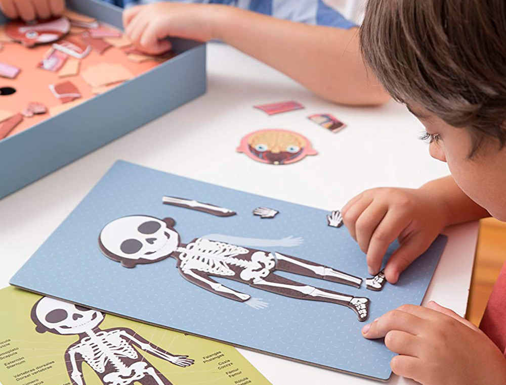 JUEGO APLI DIDACTICO MAGNETICO EL CUERPO HUMANO