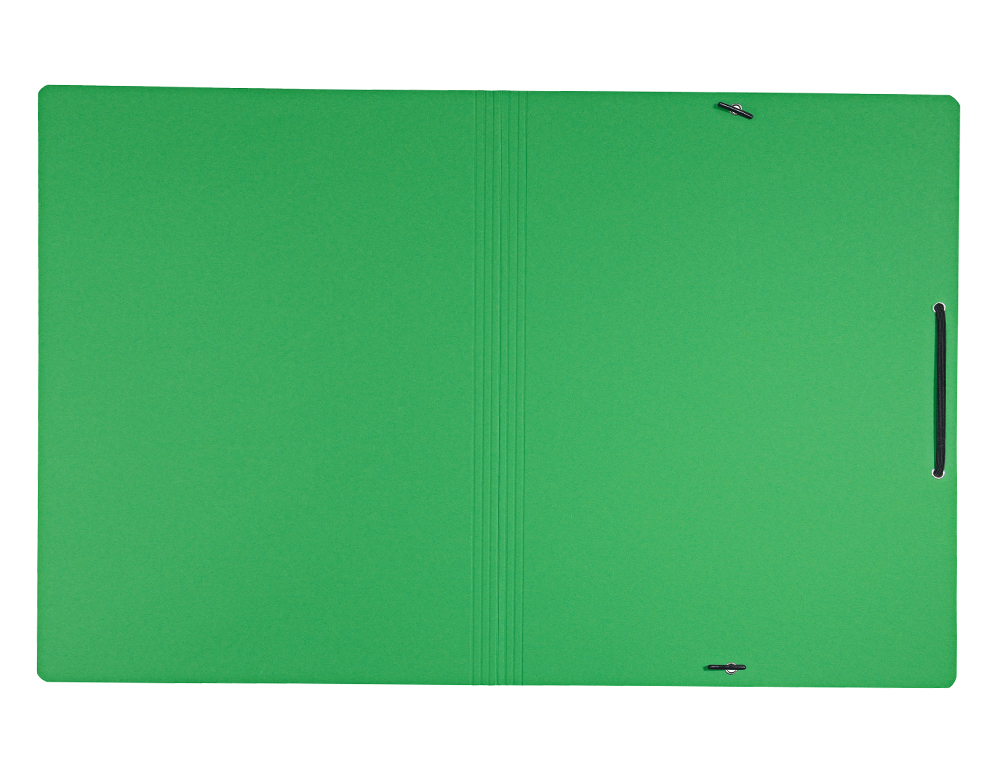 CARPETA LEITZ RECYCLE GOMAS DIN A4 CARTON RECICLABLE 100% VERDE