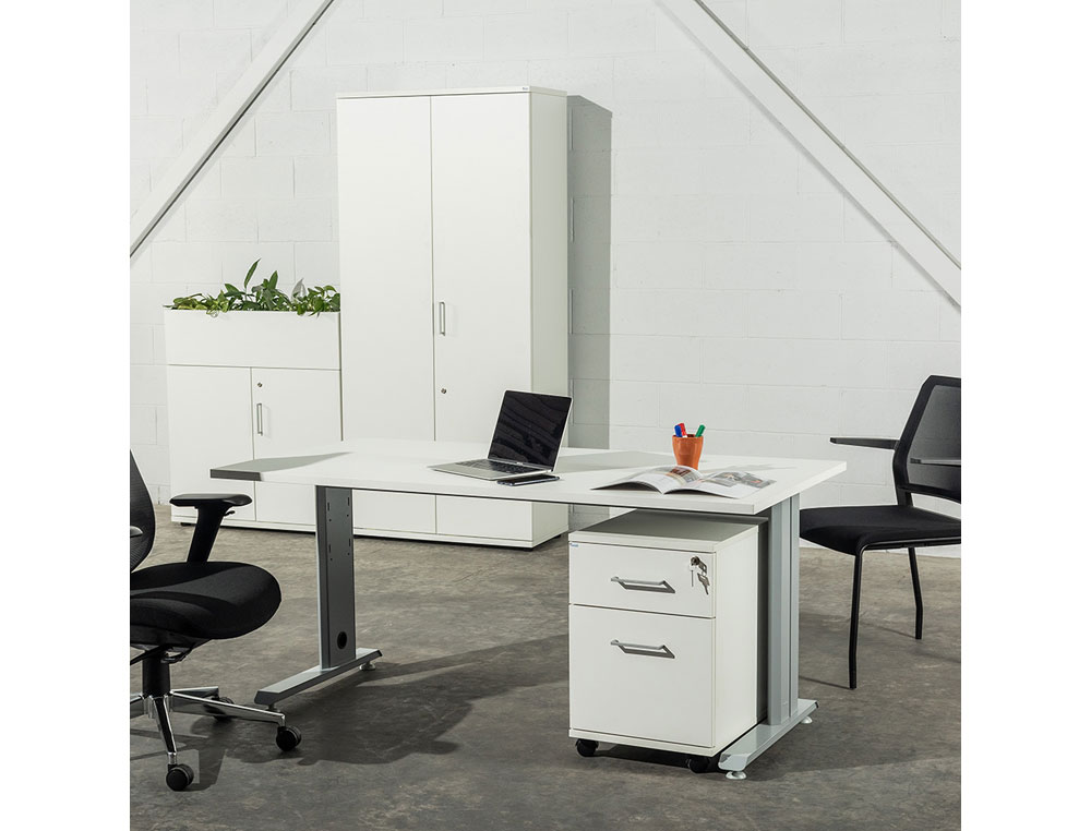 SILLA ROCADA CONFIDENTE BRAZOS FIJOS ESTRUCTURA METALICA ASIENTO TELA IGNIFUGA AZUL RESPALDO MALLA