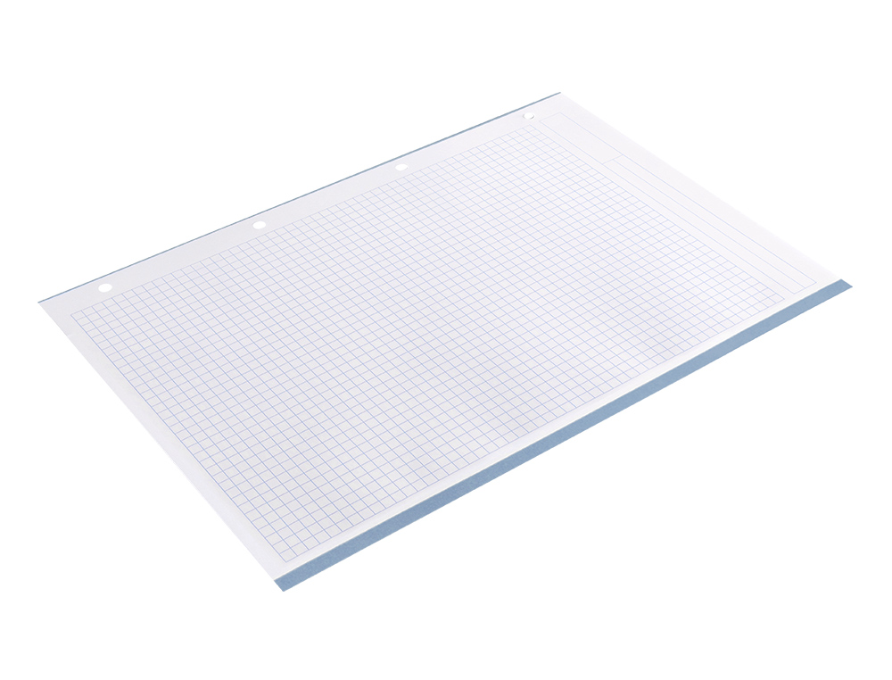 RECAMBIO LIDERPAPEL A4 200+50 HOJAS 90G/M2 CUADRO 5MM 4 TALADROS BANDAS DE 5 COLORES