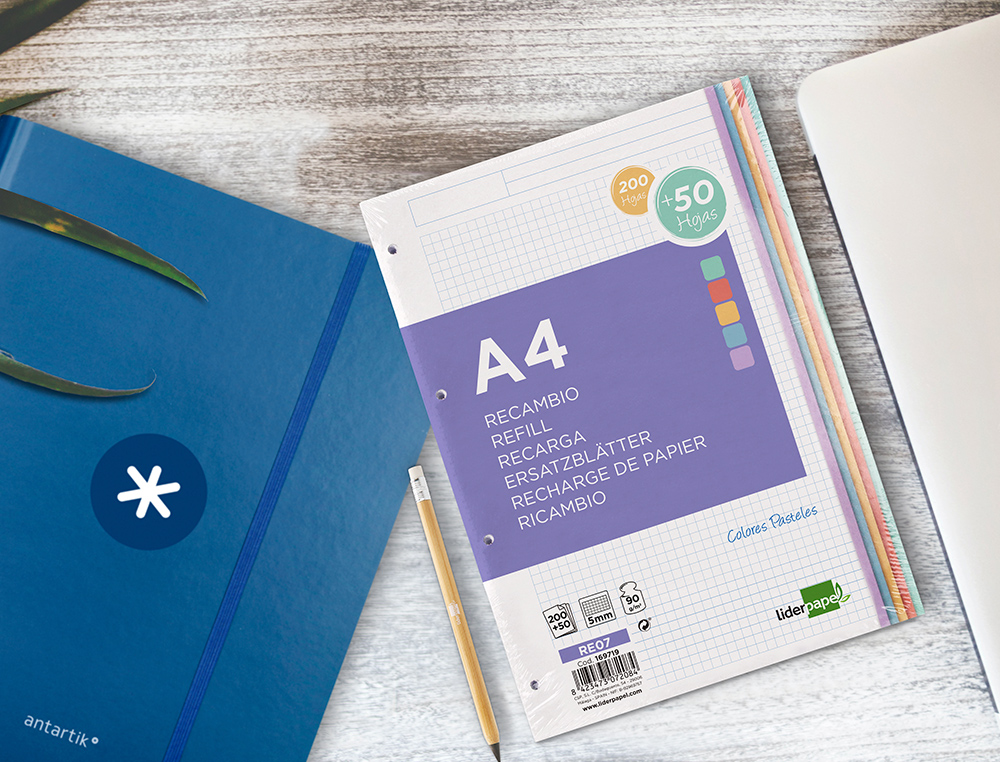 RECAMBIO LIDERPAPEL A4 200+50 HOJAS 90G/M2 CUADRO 5MM 4 TALADROS BANDAS DE 5 COLORES
