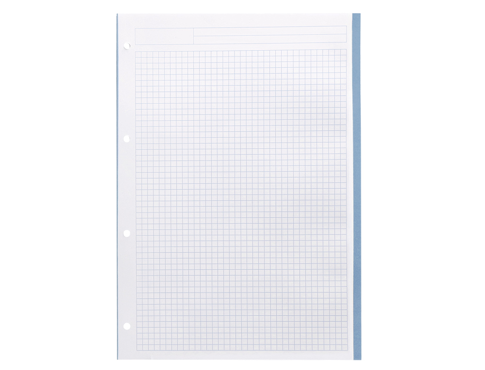 RECAMBIO LIDERPAPEL A4 200+50 HOJAS 90G/M2 CUADRO 5MM 4 TALADROS BANDAS DE 5 COLORES