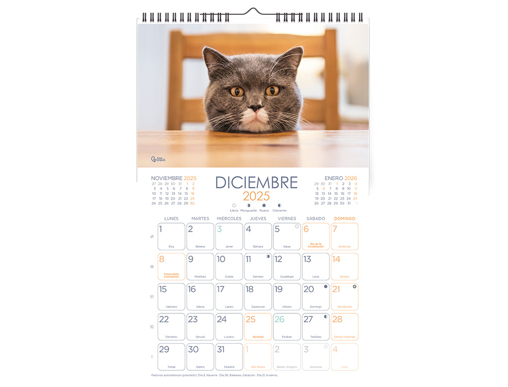 CALENDARIO ESPIRAL PARED LIDERPAPEL IMAGENES GATOS 2025 PARA ESCRIBIR 25X40 CM PAPEL 157 GR