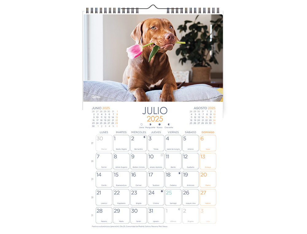 CALENDARIO ESPIRAL PARED LIDERPAPEL IMAGENES PERROS 2025 PARA ESCRIBIR 25X40 CM PAPEL 157 GR
