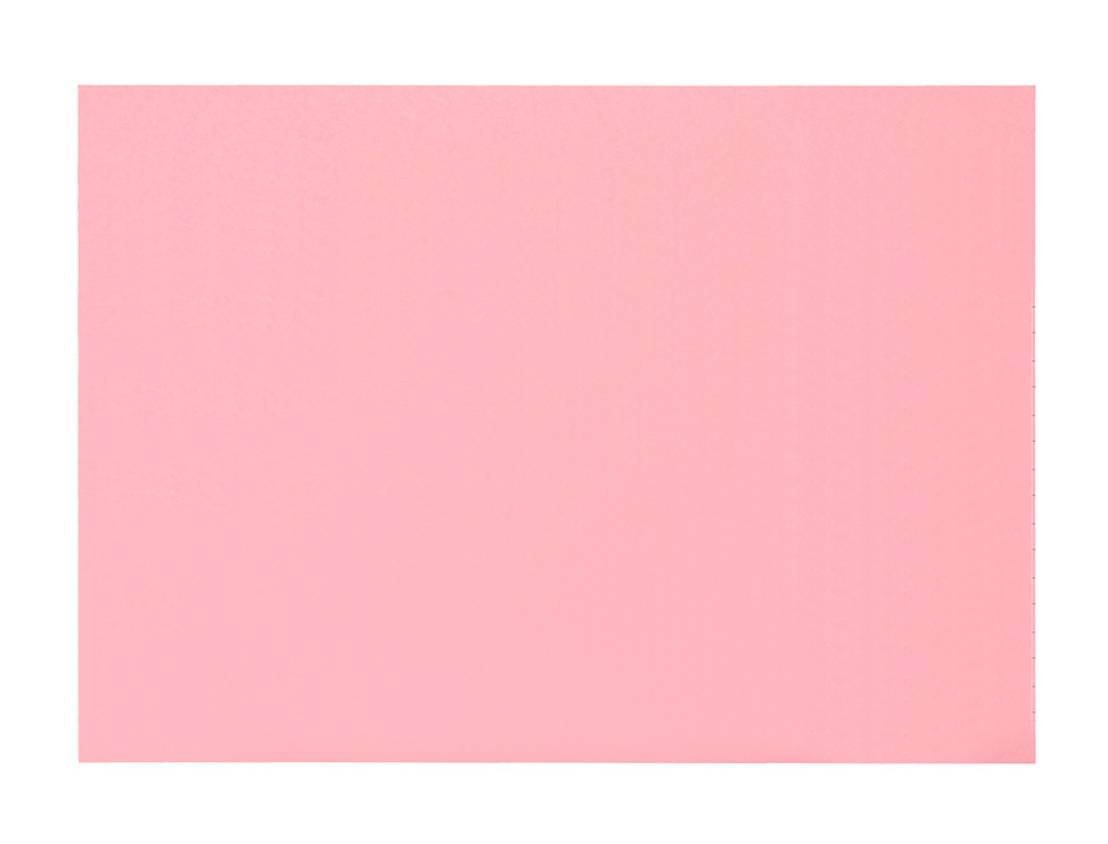 TARJETA LIDERPAPEL PARA ESTUDIAR LISA CARTULINA DE COLORES 170 GR/M2 125X200MM PAQUETE DE 200 UNIDADES