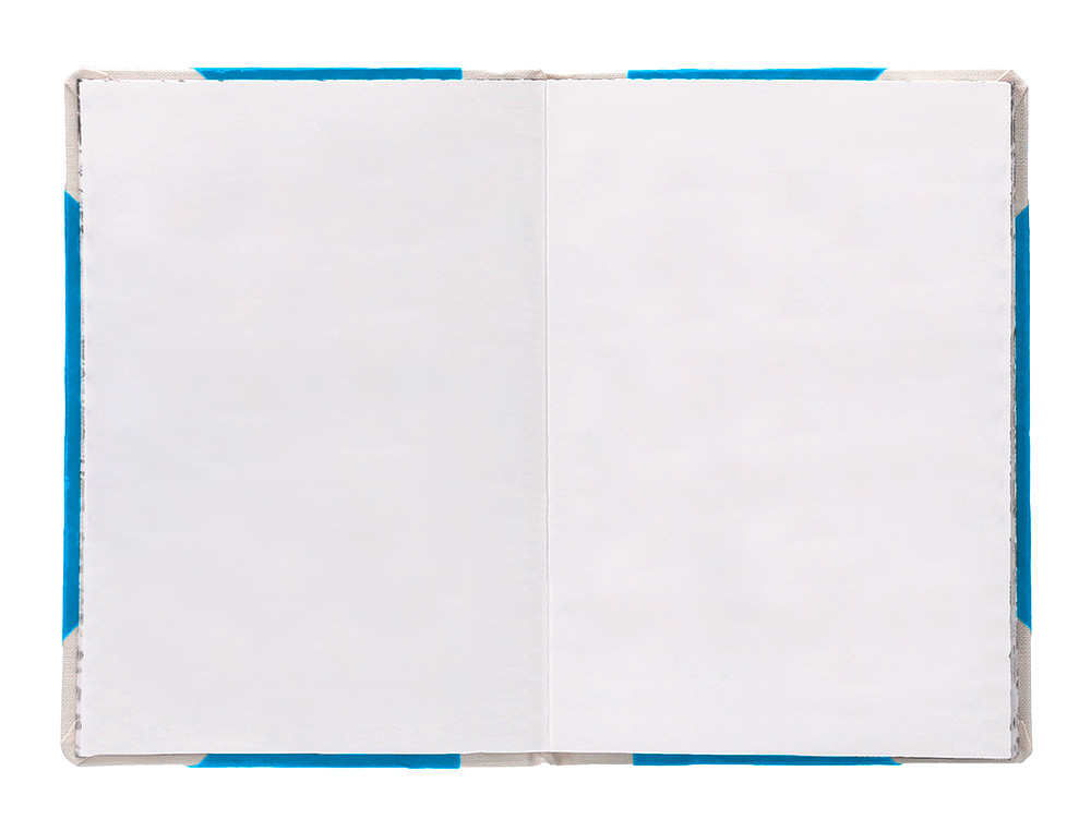 LIBRO CARTONE COSIDO FERNANDES FLECHA DIN A4+ LISO 50 HOJAS 100 GR AZUL