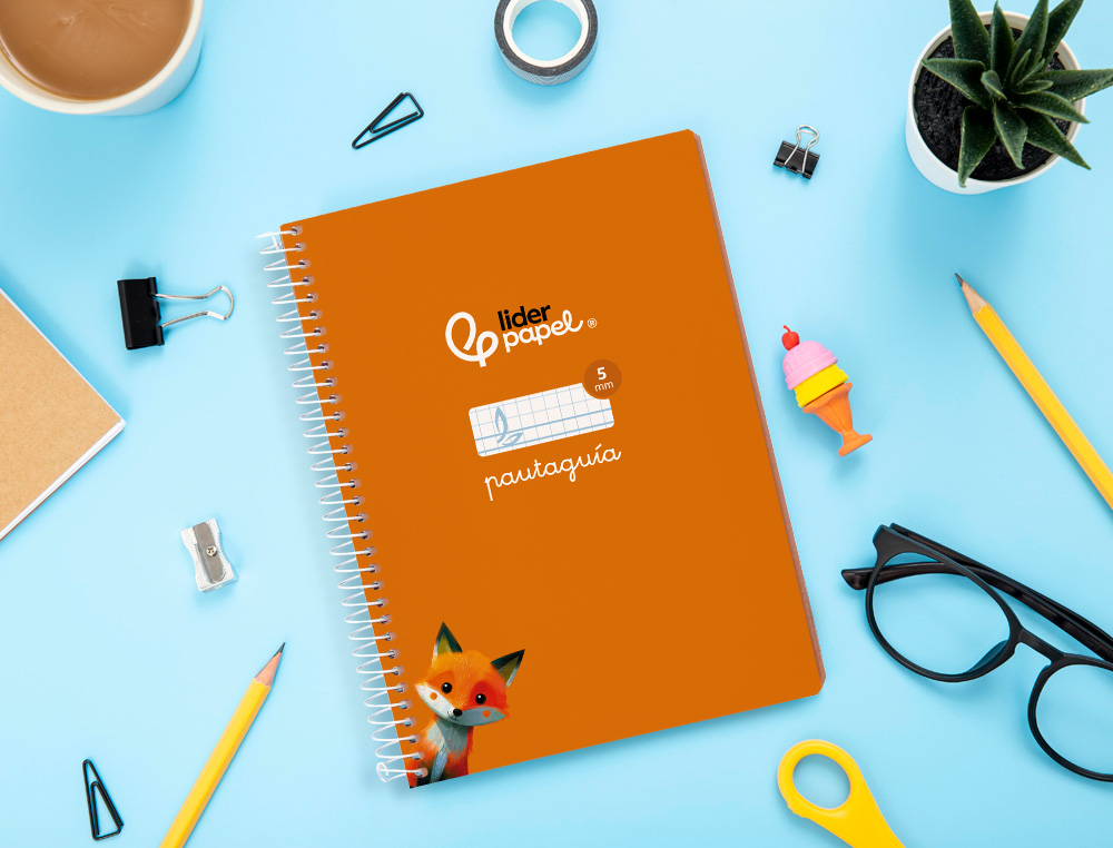 CUADERNO ESPIRAL LIDERPAPEL A5 PAUTAGUIA TAPA BLANDA 40H 75GR CUADRO PAUTADO 5MM COLOR NARANJA