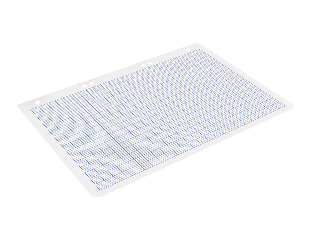 RECAMBIO LIDERPAPEL DIN A5 100 HOJAS 75G/M2 RAYADO Nº 46 6 TALADROS