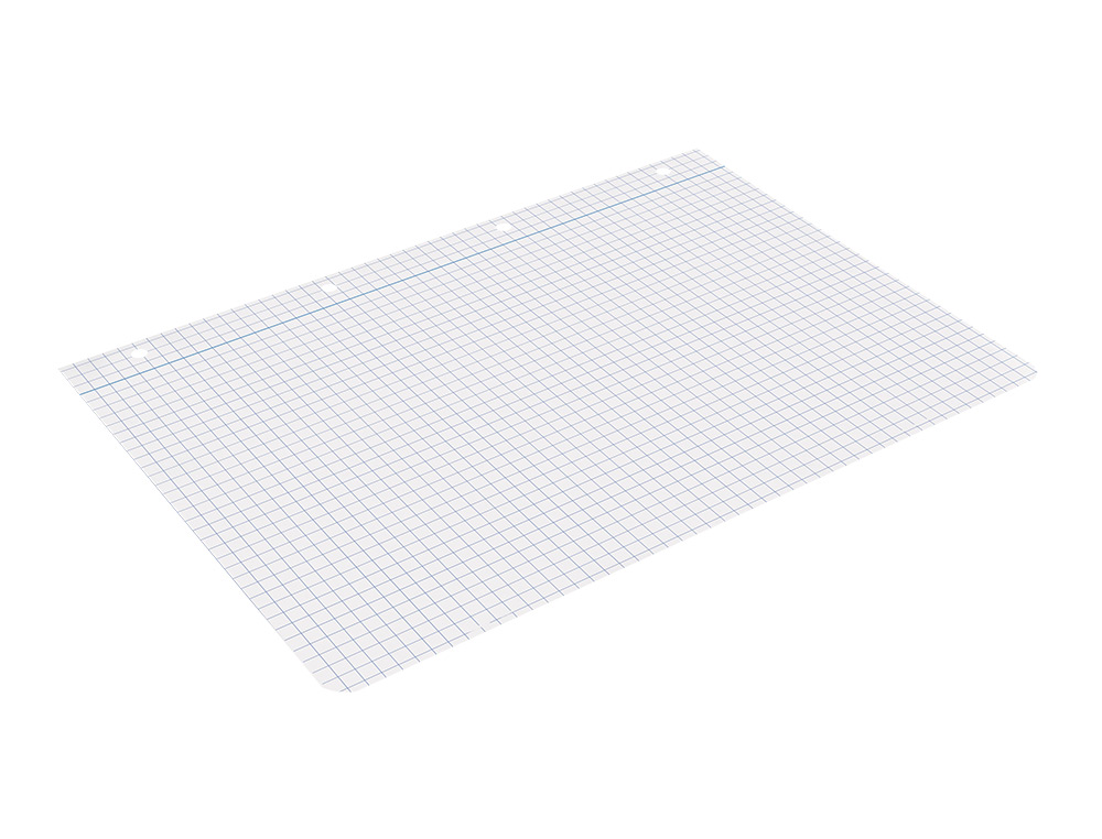 RECAMBIO LIDERPAPEL A4 100 HOJAS 75GR CUADRO 6MM 4 TALADROS CON MARGEN