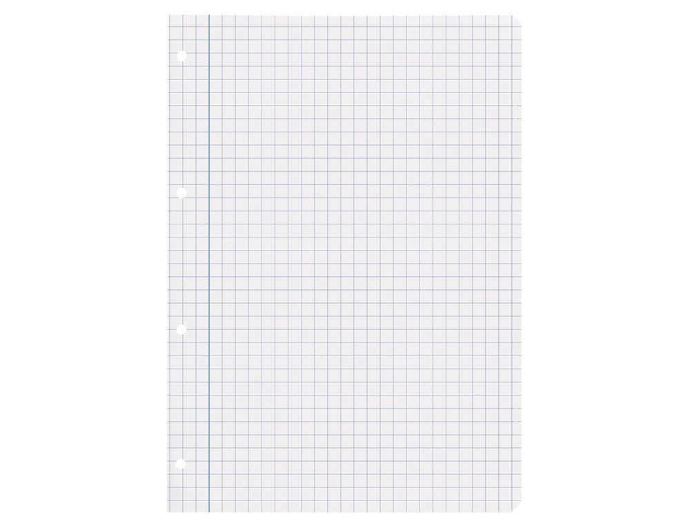 RECAMBIO LIDERPAPEL A4 100 HOJAS 75GR CUADRO 8MM CON MARGEN 4 TALADROS