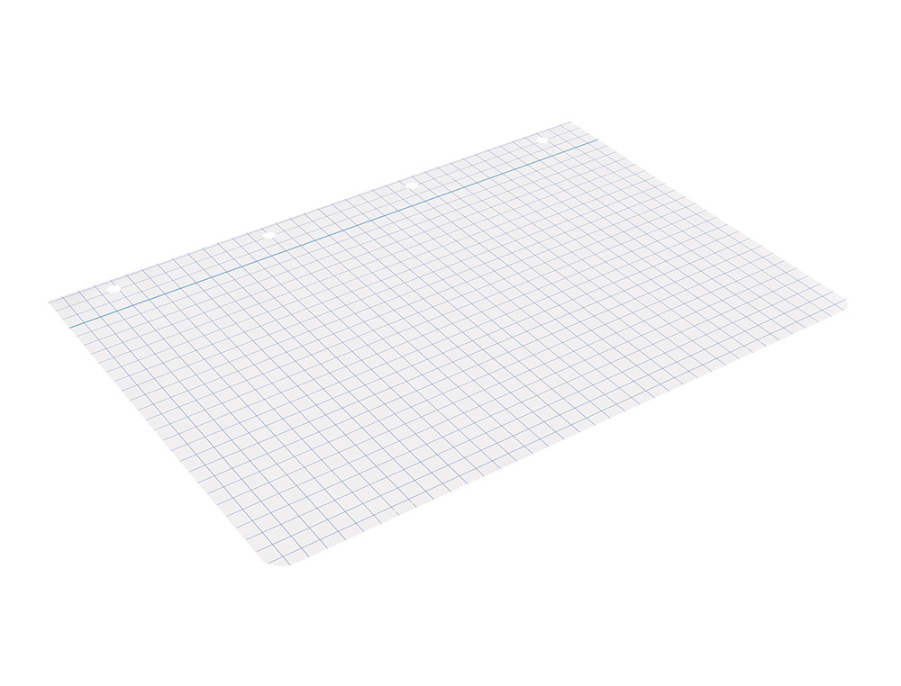 RECAMBIO LIDERPAPEL A4 100 HOJAS 75GR CUADRO 8MM CON MARGEN 4 TALADROS