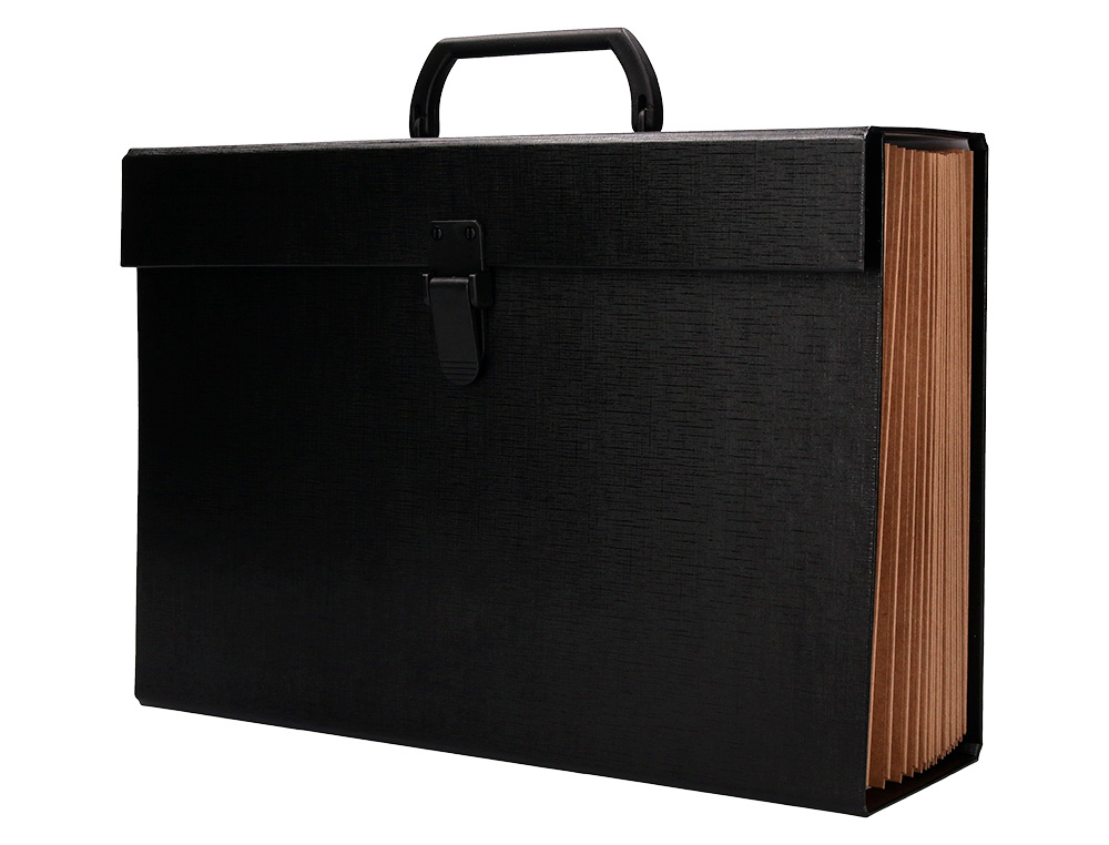 MALETIN LIDERPAPEL CON FUELLE Y ASA CARTON FORRADO 19 DEPARTAMENTOS 255X390X120 MM COLORES SURTIDOS