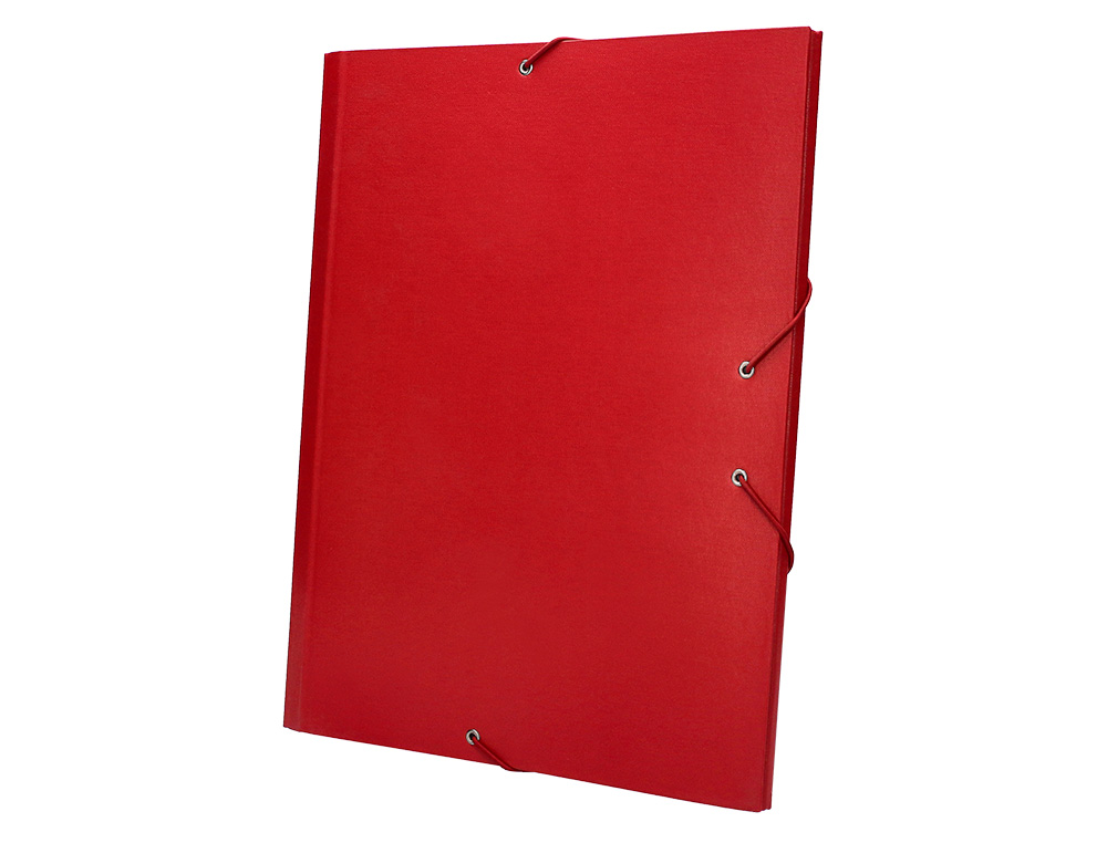 CARPETA CLASIFICADORA LIDERPAPEL 12 DEPARTAMENTOS FOLIO PROLONGADO CARTON FORRADO ROJA