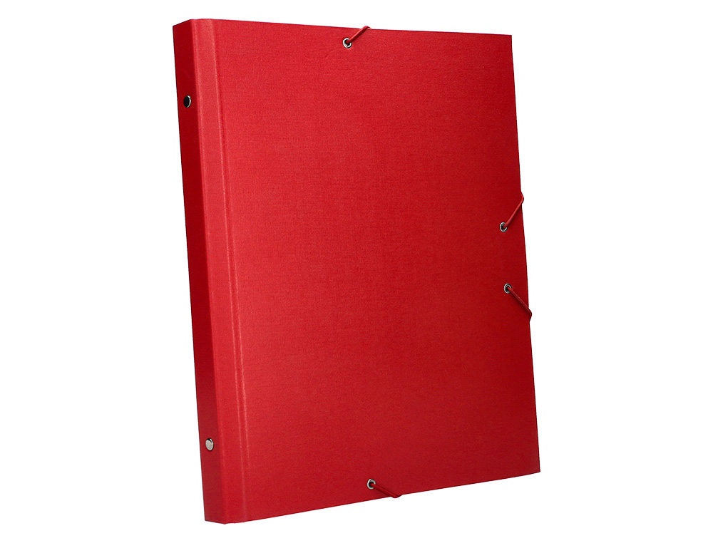 CARPETA CLASIFICADORA LIDERPAPEL 12 DEPARTAMENTOS FOLIO PROLONGADO CARTON FORRADO ROJA