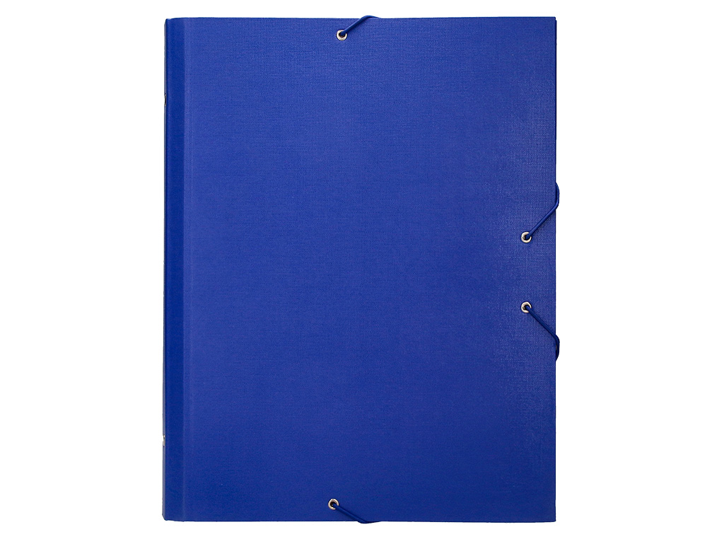 CARPETA CLASIFICADORA LIDERPAPEL 12 DEPARTAMENTOS FOLIO PROLONGADO CARTON FORRADO AZUL