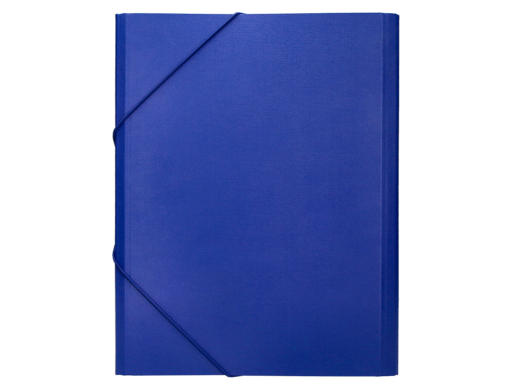 CARPETA CLASIFICADORA LIDERPAPEL 12 DEPARTAMENTOS FOLIO PROLONGADO CARTON FORRADO AZUL