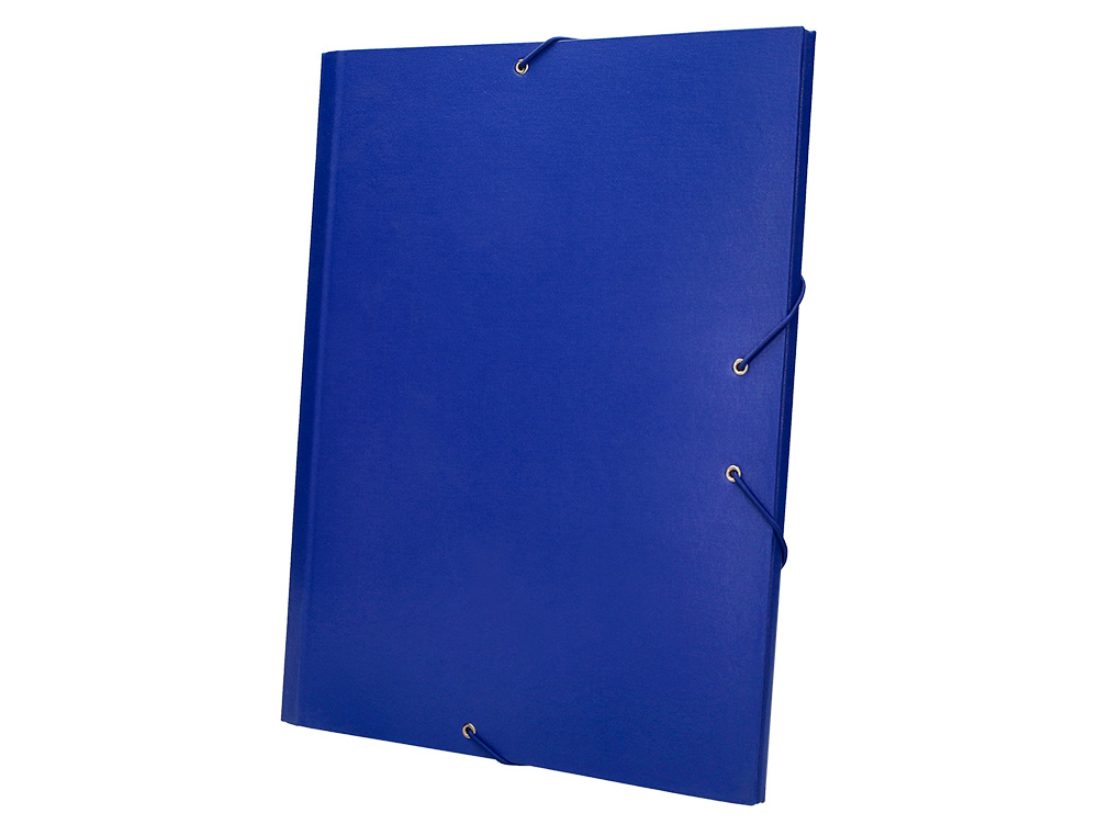 CARPETA CLASIFICADORA LIDERPAPEL 12 DEPARTAMENTOS FOLIO PROLONGADO CARTON FORRADO AZUL
