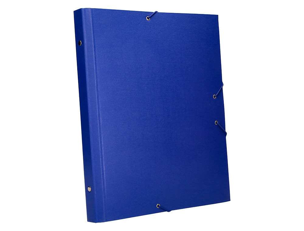 CARPETA CLASIFICADORA LIDERPAPEL 12 DEPARTAMENTOS FOLIO PROLONGADO CARTON FORRADO AZUL