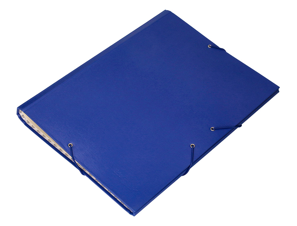 CARPETA CLASIFICADORA LIDERPAPEL 12 DEPARTAMENTOS FOLIO PROLONGADO CARTON FORRADO AZUL