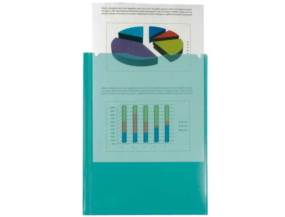 CARPETA LIDERPAPEL DOSSIER DOS BOLSAS CANGURO 45683 POLIPROPILENO DIN A4 VERDE