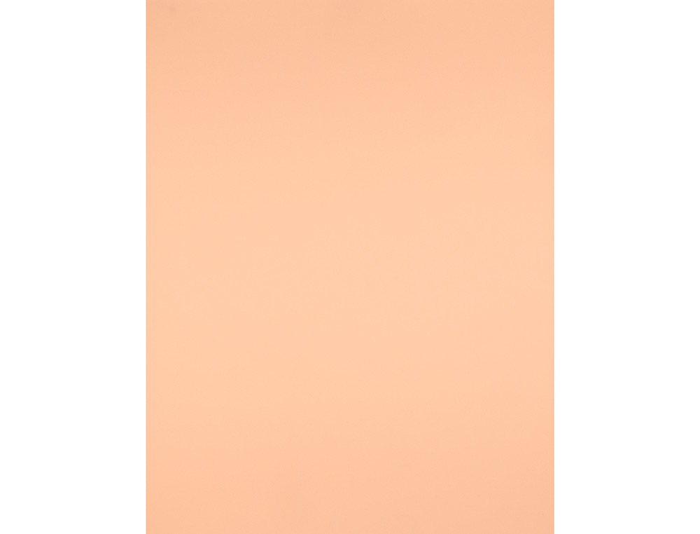 CARTULINA LIDERPAPEL 50X65 CM 180G/M2 SEPIA