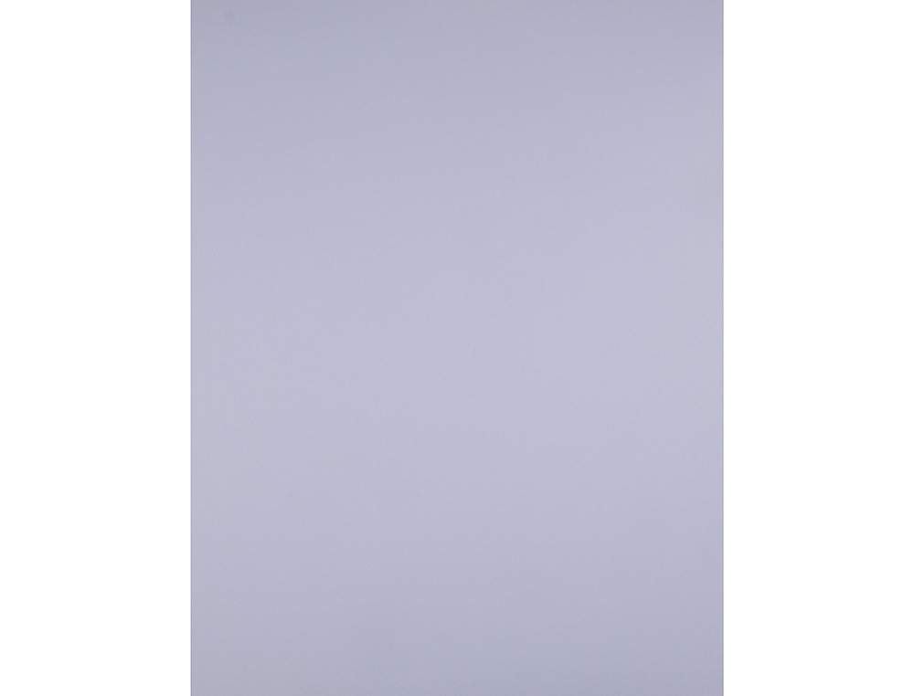 CARTULINA LIDERPAPEL 50X65 CM LILA 180 GR UNIDAD