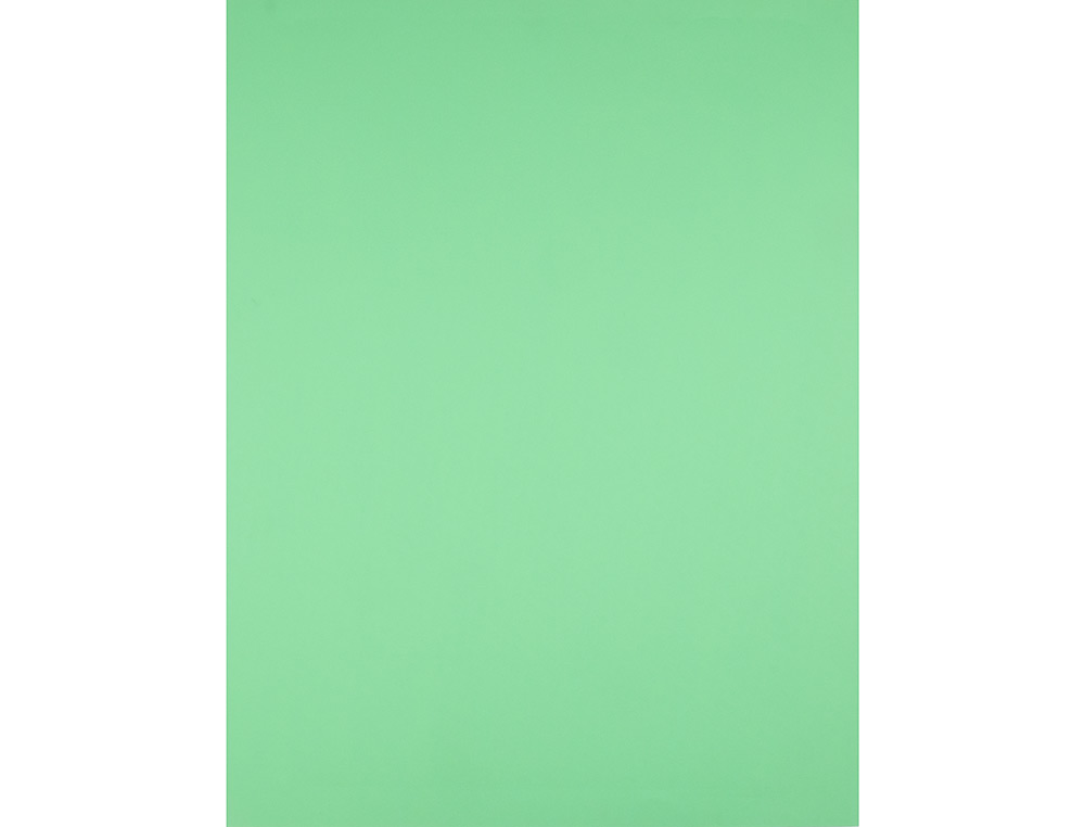 CARTULINA LIDERPAPEL 50X65 CM VERDE PISTACHO 180 GR UNIDAD