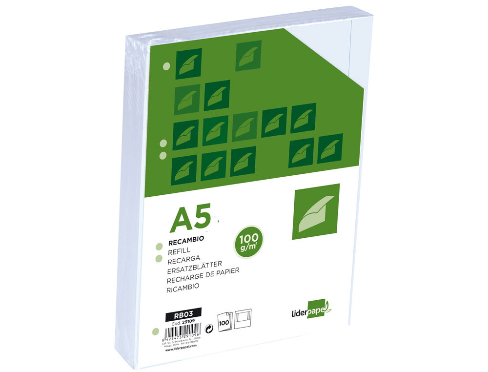 RECAMBIO LIDERPAPEL A5 100H 100G/M2 LISO DOBLE MARGEN 6 TALADROS