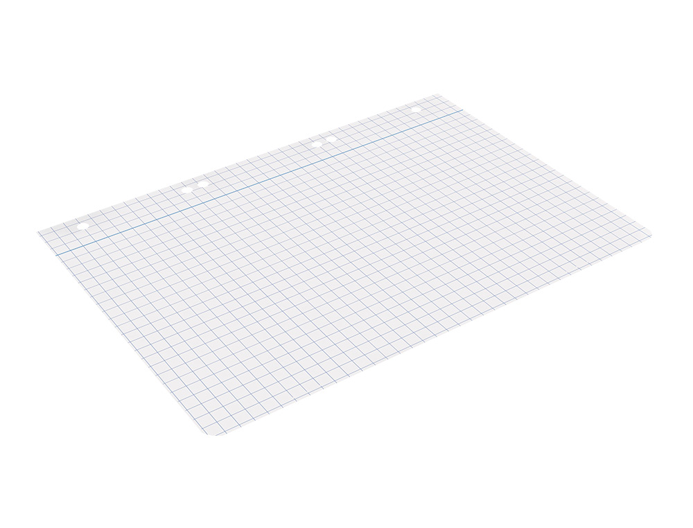 RECAMBIO LIDERPAPEL CUARTO 100 HOJAS 60G/M2 CUADRO 8MM CON MARGEN 6 TALADROS