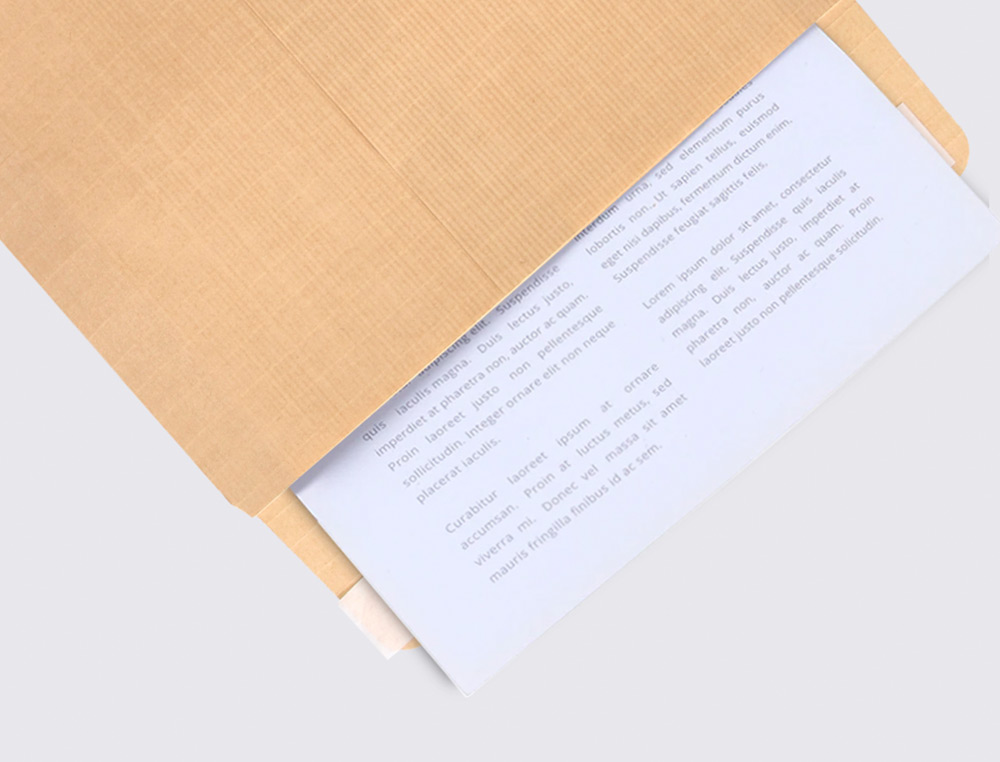SOBRE LIDERPAPEL BOLSA N.5 KRAFT DIN C5 162X229 MM TIRA DE SILICONA CAJA DE 250 UNIDADES