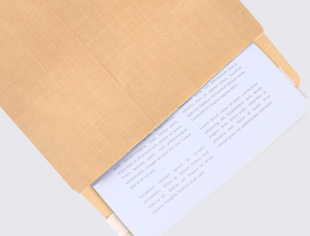 SOBRE LIDERPAPEL BOLSA N.12 KRAFT FOLIO ESPECIAL 260X360MM TIRA DE SILICONA CAJA DE 250 UNIDADES