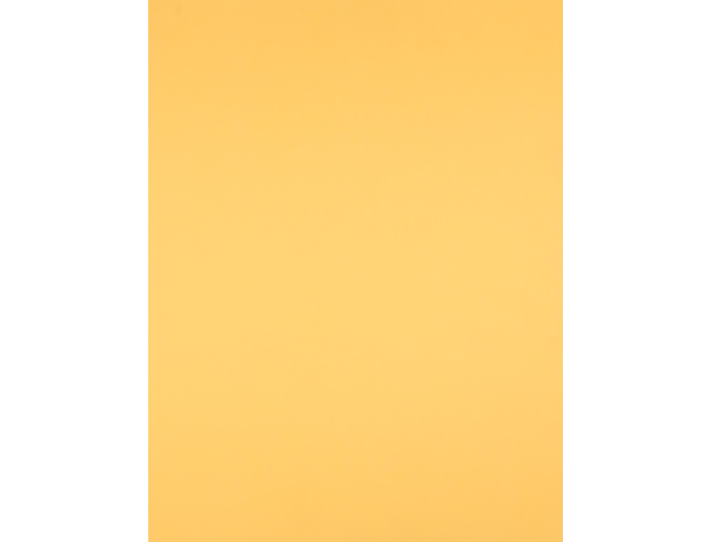 CARTULINA LIDERPAPEL 50X65 CM ORO 240 GR UNIDAD