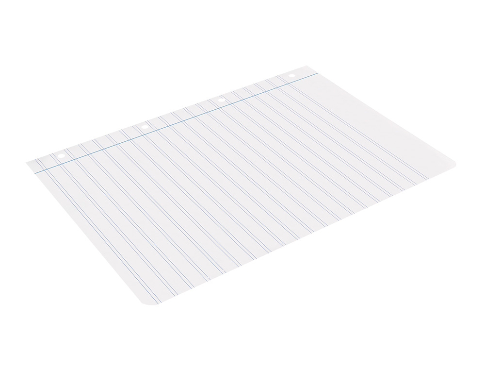 RECAMBIO LIDERPAPEL A4 100 HOJAS 100G/M2 PAUTA 5ª 2.5MM CON MARGEN 4 TALADROS
