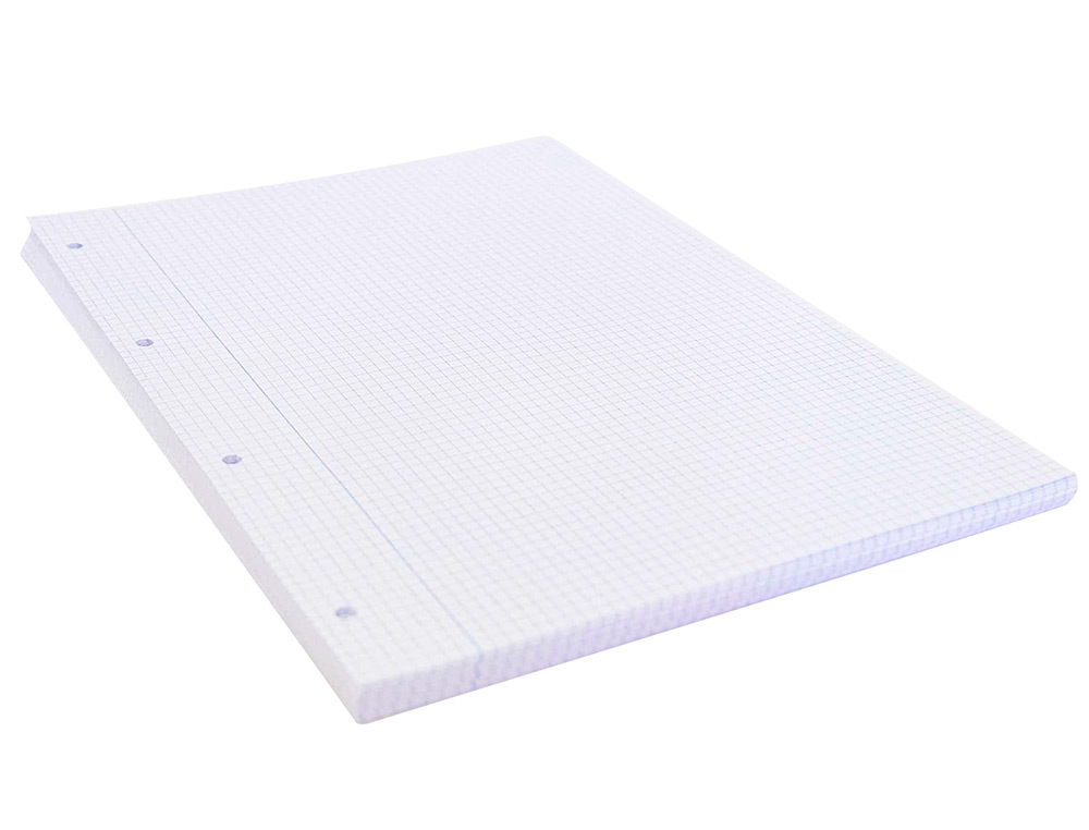 RECAMBIO LIDERPAPEL A4 100 HOJAS 75G/M2 CUADRO 4MM CON MARGEN 4 TALADROS