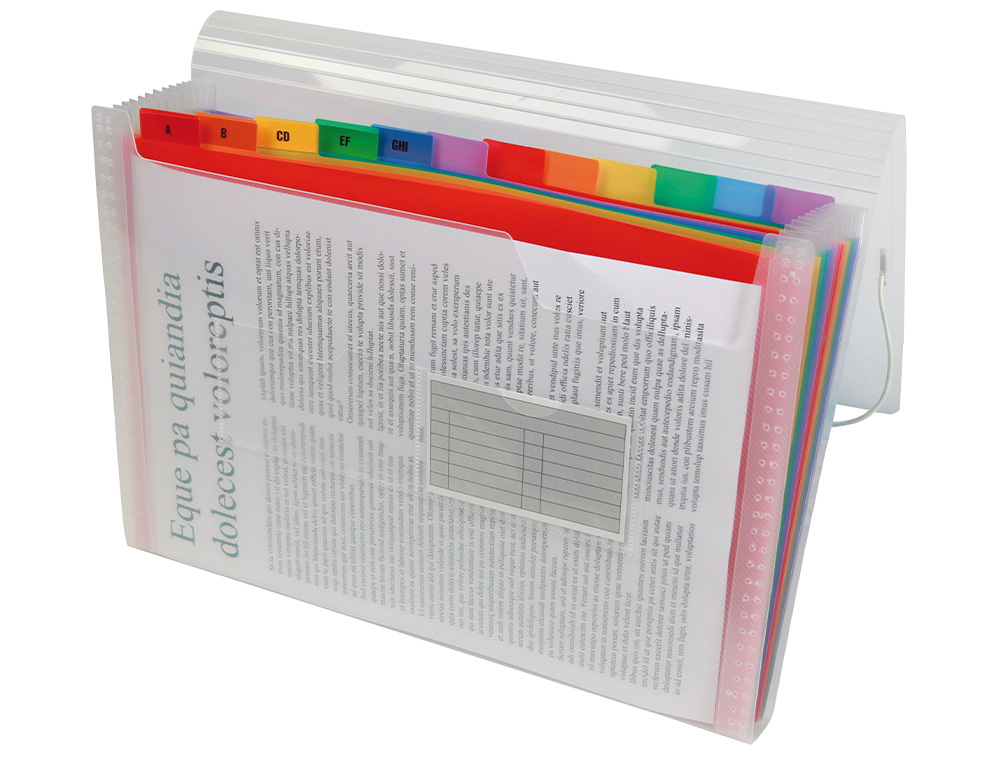 CARPETA LIDERPAPEL CLASIFICADOR FUELLE POLIPROPILENO DIN A5 SPECTRAFILE