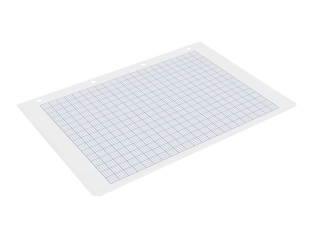 RECAMBIO LIDERPAPEL A4 100 HOJAS 60G/M2 RAYADO Nº 46 4 TALADROS