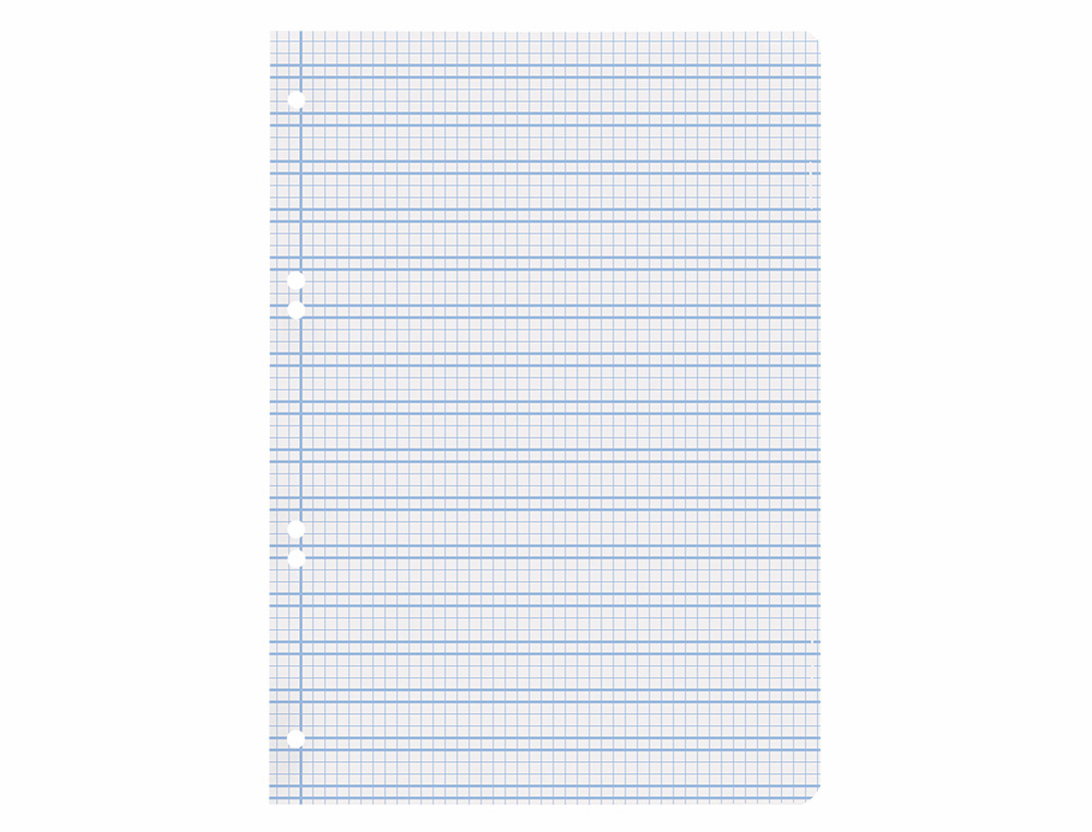 RECAMBIO LIDERPAPEL CUARTO PAUTAGUIA 100 HOJAS 75 G CUADRICULADO PAUTADO 3MM CON MARGEN 6 TALADROS