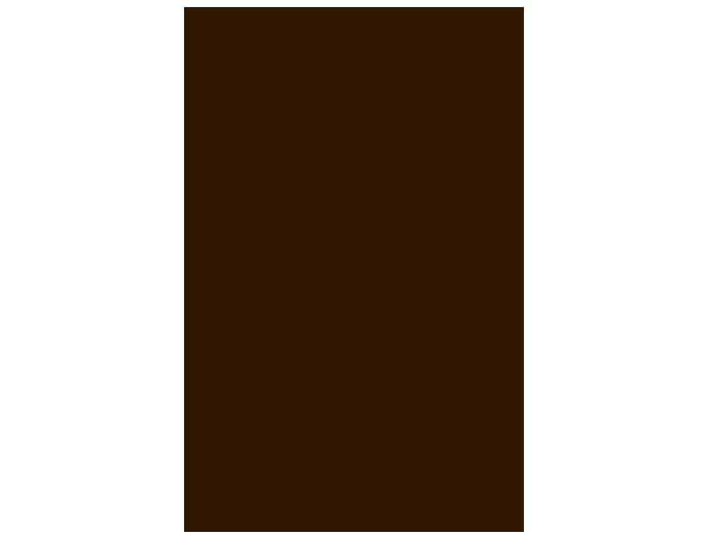 CARTULINA GUARRO DIN A3 MARRON CHOCOLATE 185 GR PAQUETE 50 HOJAS