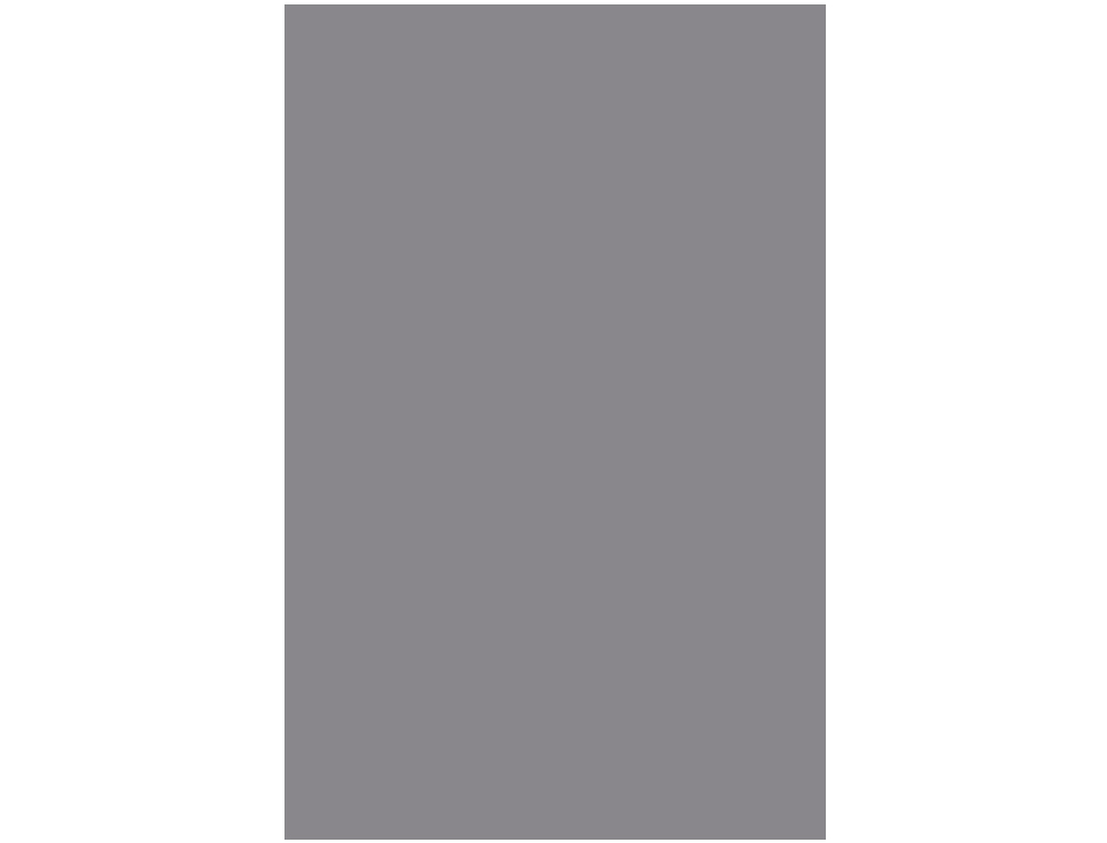 CARTULINA LIDERPAPEL 50X65 CM GRIS 240 GR UNIDAD
