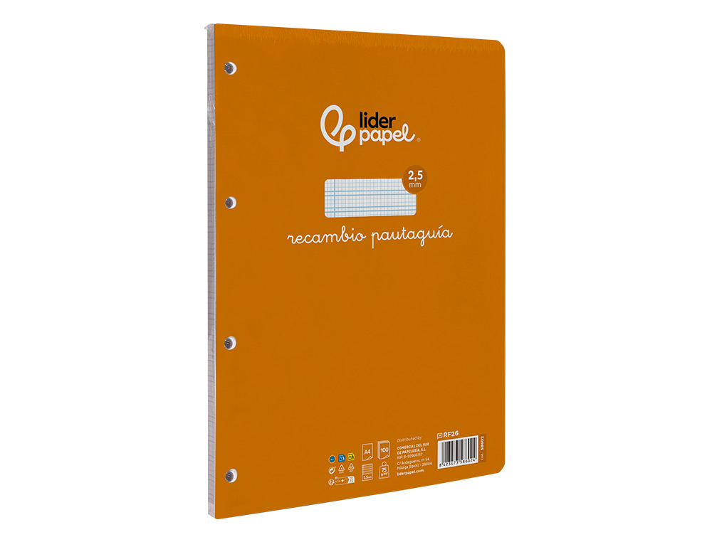 RECAMBIO LIDERPAPEL A4 PAUTAGUIA 100 HOJAS 75 G/M2 CUADRICULADO PAUTADO 2,5MM CON MARGEN 4 TALADROS