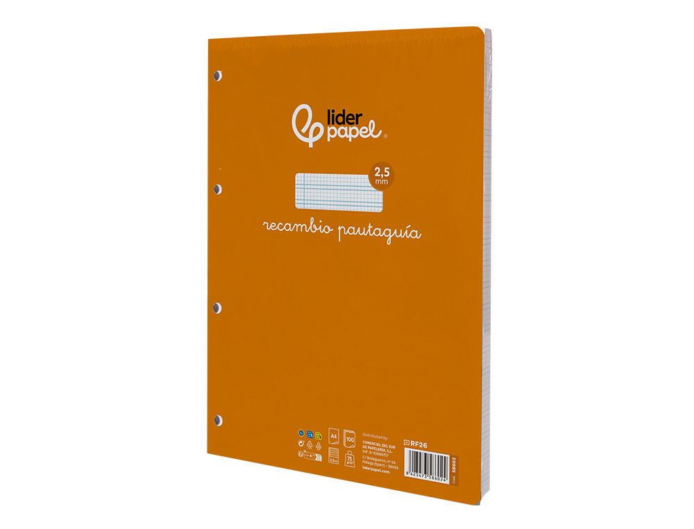 RECAMBIO LIDERPAPEL A4 PAUTAGUIA 100 HOJAS 75 G/M2 CUADRICULADO PAUTADO 2,5MM CON MARGEN 4 TALADROS