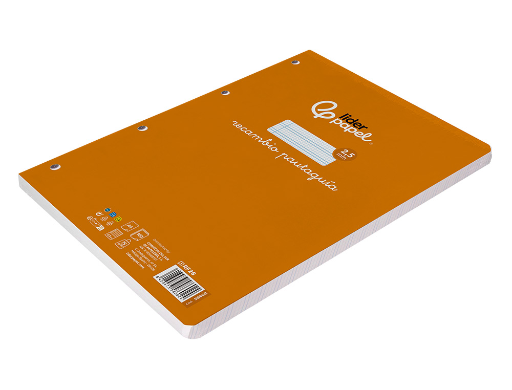 RECAMBIO LIDERPAPEL A4 PAUTAGUIA 100 HOJAS 75 G/M2 CUADRICULADO PAUTADO 2,5MM CON MARGEN 4 TALADROS